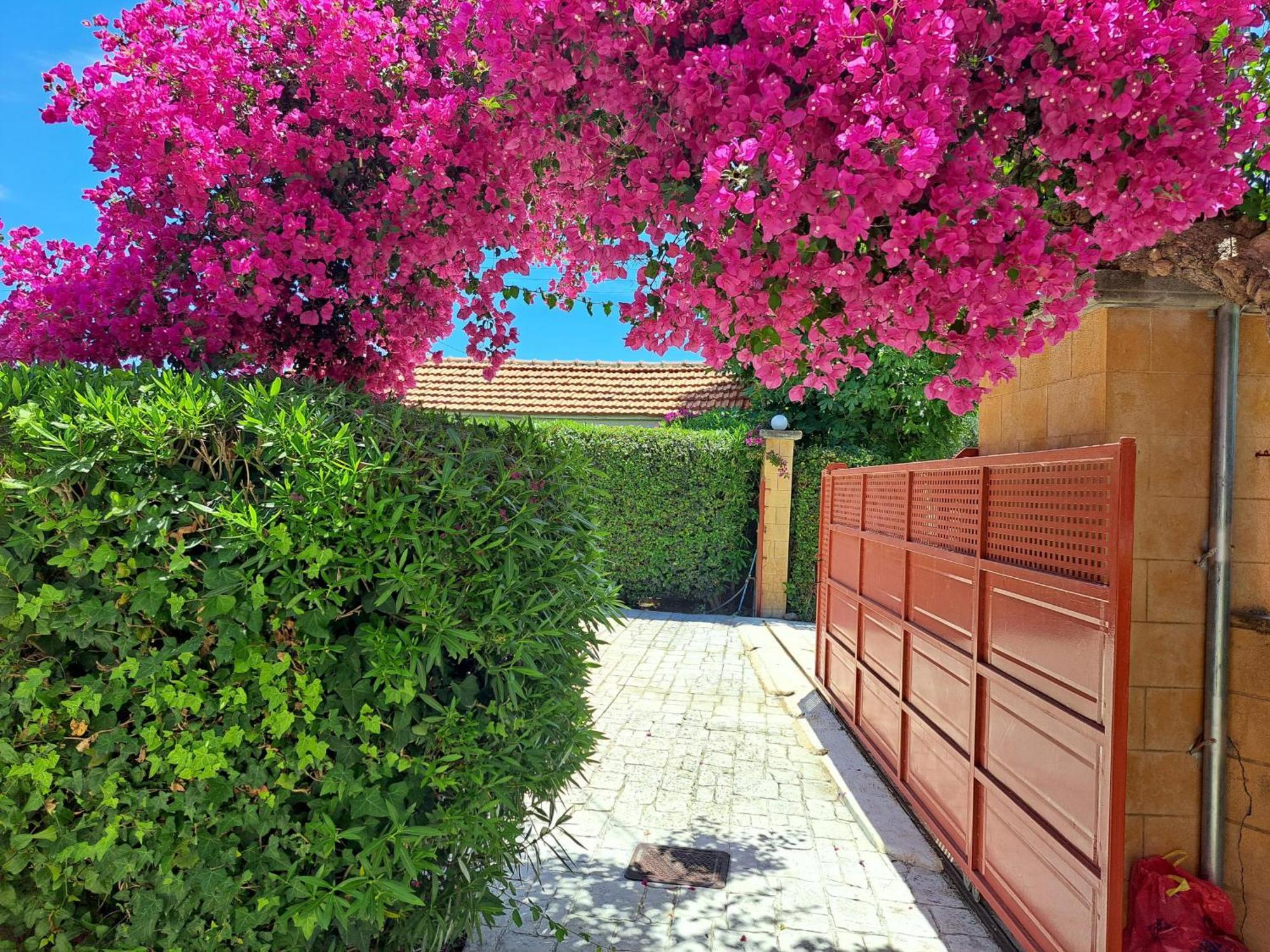 Holiday Home Orfanos Armenoi  Экстерьер фото